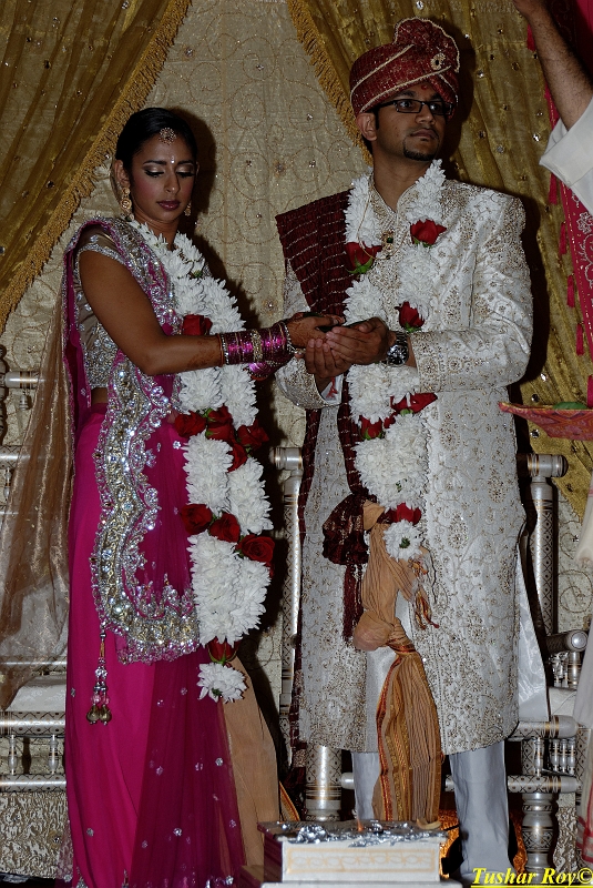 PAYAL_WEDDING-tr Image_1128.jpg